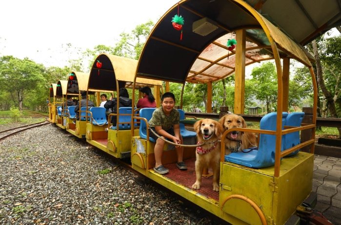 瑞穗景點：在地人帶路十大必訪推薦，牧場溫泉泛舟秘境一次玩透