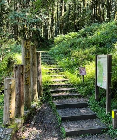 塔山步道: 阿里山健行路線、景點介紹與常見問題完整指南
