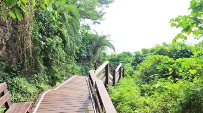 山豬溝生態步道：挑戰停車攻略×深入秘境傳說×順遊三大景點