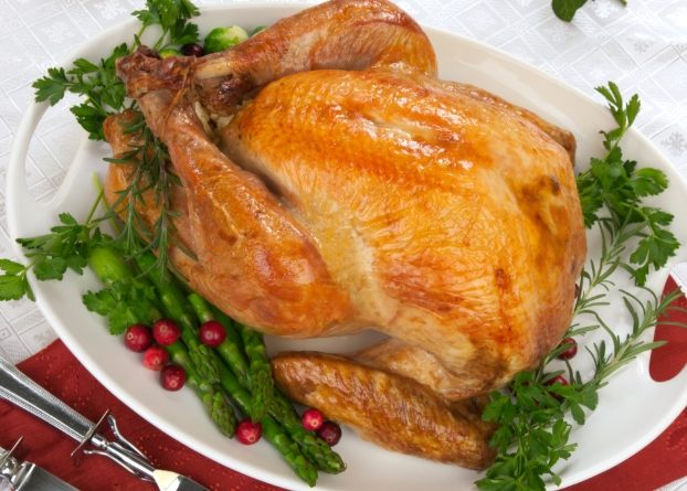 火雞：台灣廚房火雞料理完整指南，挑選烹飪秘訣與食譜大公開