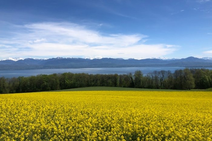 德瑞旅遊最佳時間