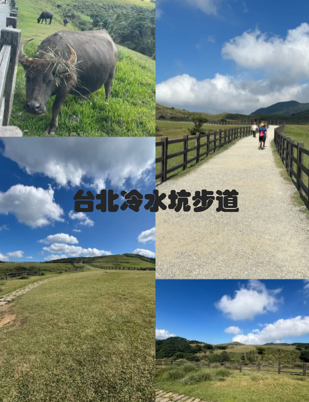 台北冷水坑步道