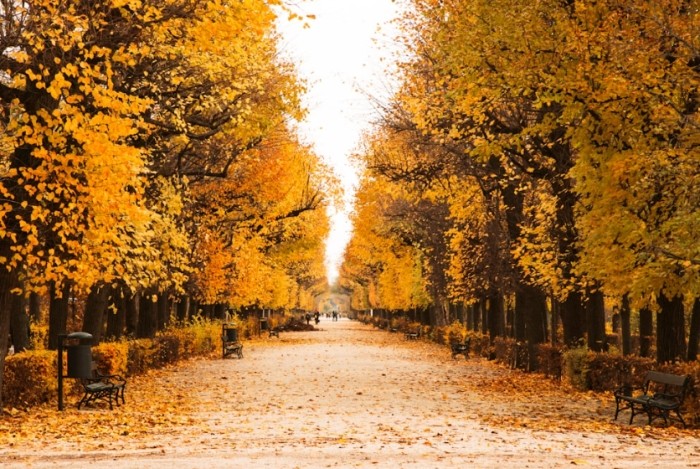 歐洲治安最好國家