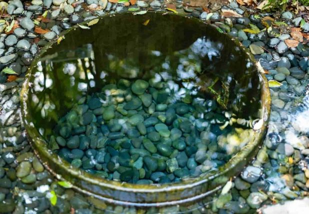 明治神宮旅遊資訊