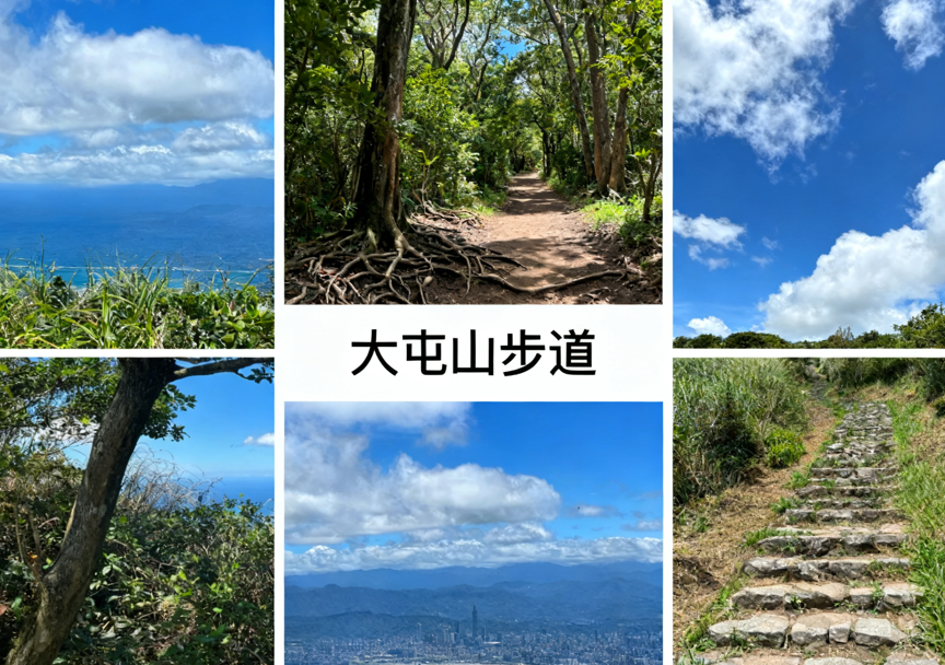 台北大屯山步道