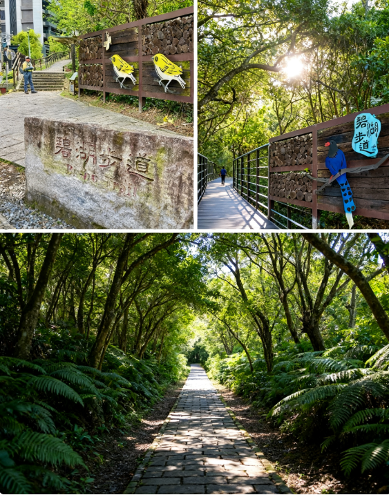 台北碧湖步道