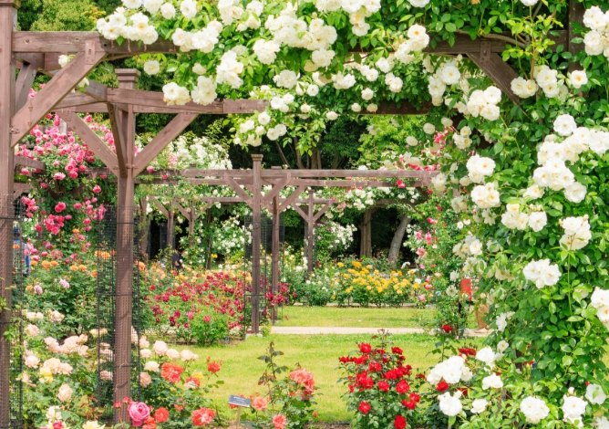 大阪植物園指南