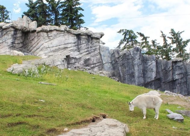 加拿大必去景點