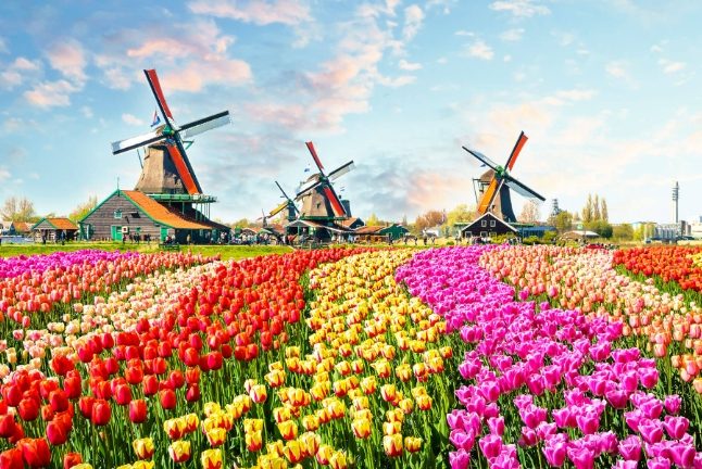 荷蘭旅遊