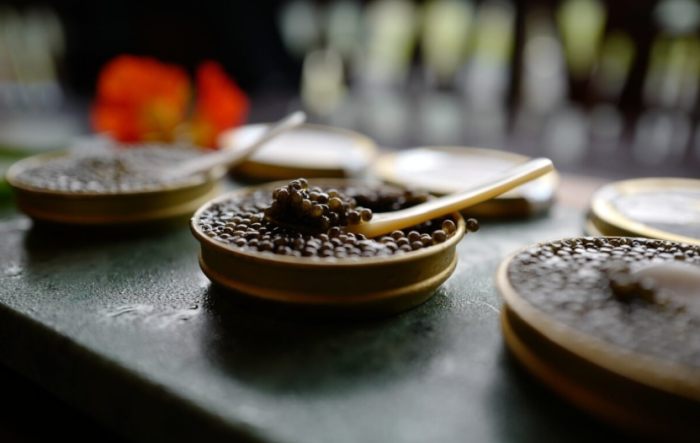 帶魚子醬回台灣