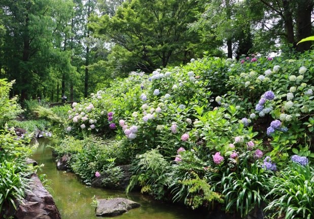 長居植物園旅遊