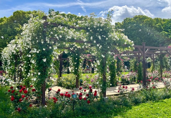 大阪植物園指南