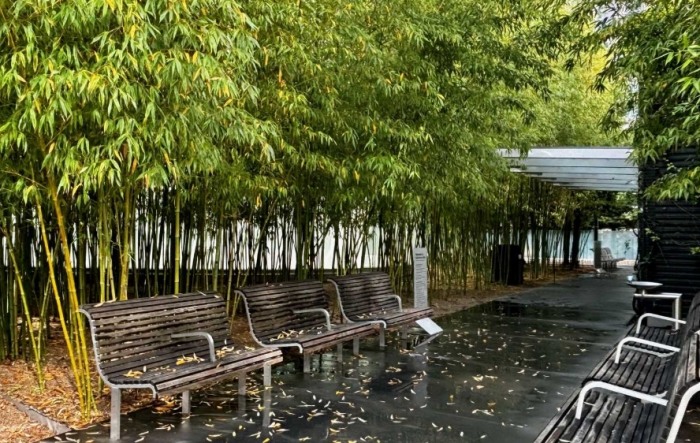 舊金山在地推薦